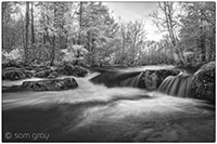 Smokies_20190121_184-2_edit