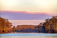 Atchafalaya_Color_20241111_004_edit_VERO