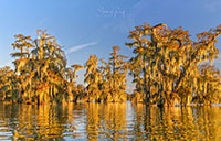 Atchafalaya_Color_20241111_007-2_edit_VERO