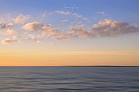 Atchafalaya_Color_20241113_009-4_edit_VERO