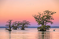 Atchafalaya_Color_20241114_009-7-Edit2_VERO
