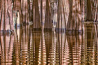 Atchafalaya_IR_20241111_005-29_edit_VERO