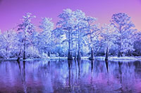 Atchafalaya_IR_20241111_005-41-Edit2_VERO