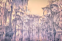 Atchafalaya_IR_20241111_006-12_edit_VERO
