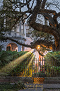 Charleston_20190327_004-HDR_edit_Luminar