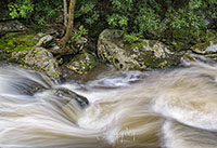 Smokies_Color_20190505_247_combo_edit_2