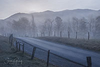 Smokies_Color_20191023_074_edit